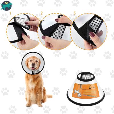 Collerette chien reglable