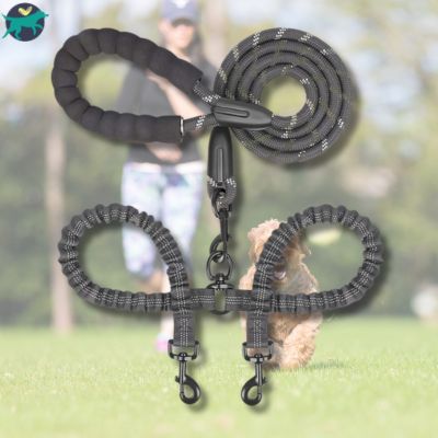 Laisse-double-pour-chien-noir