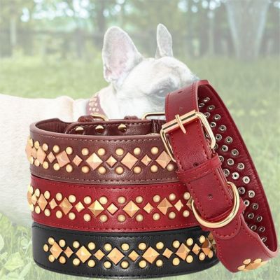 collier-chien-avec-clous
