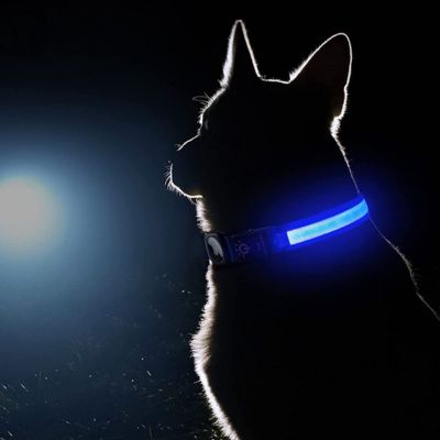 Collier chien | Geo Collar™