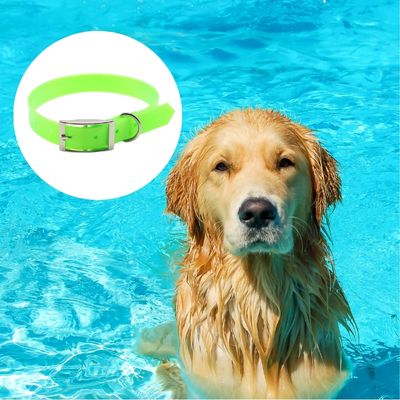 collier chien vert