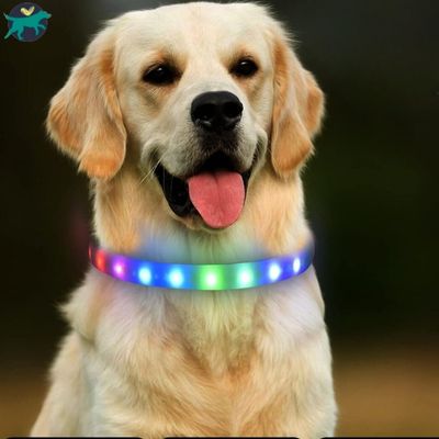 collier-lumineux-chien-arc-en-ciel_29fc72c9-7c8a-4944-9c64-ea55f2f1d731