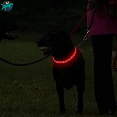 collier-lumineux-chien-rouge