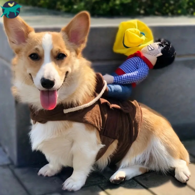 costume-pour-chien-déguisement