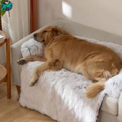 coussin-pour-chien-gris-clair