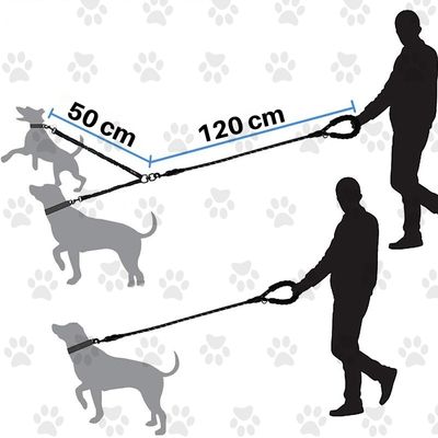 double-laisse-pour-chien-bleu-taille-moyenne