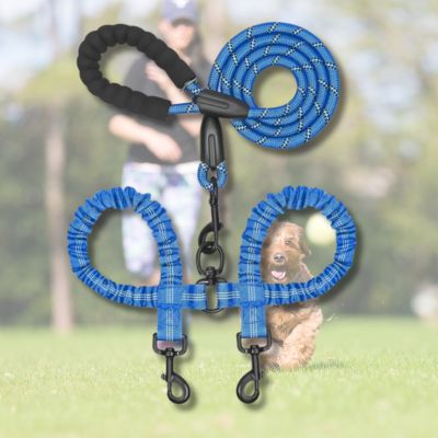 double-laisse-pour-chien-bleu