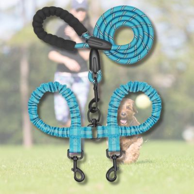 double-laisse-pour-chien-couleur-turquoise