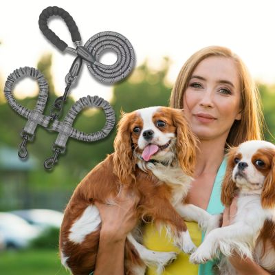 double-laisse-pour-chien-grise-taille-moyenne