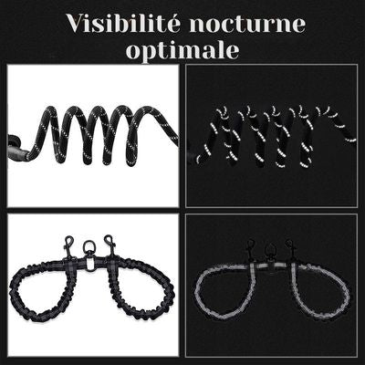 double-laisse-pour-chien-grise-visible-nuit