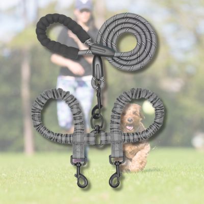 double-laisse-pour-chien-grise