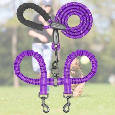 double-laisse-pour-chien-mauve-grand-chien