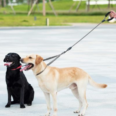double-laisse-pour-chien-rouge-extensible-solide