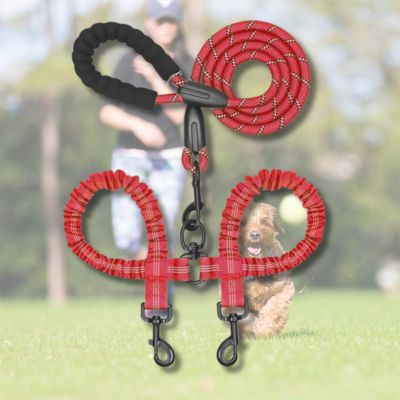 double-laisse-pour-chien-rouge-grand-chien
