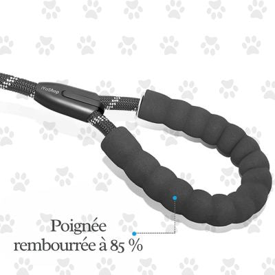 double-laisse-pour-chien-rouge-poignée-mousse