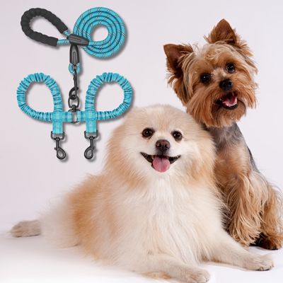 double-laisse-pour-chien-turquoise