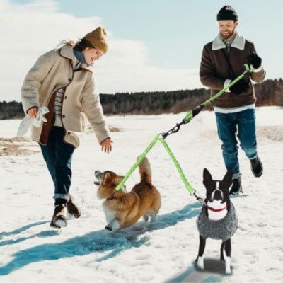 double-laisse-pour-chien-vert