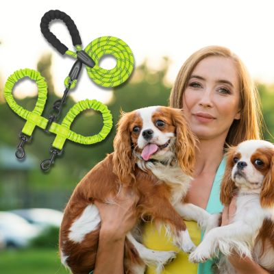 double-laisse-pour-chien-verte-taille-moyenne