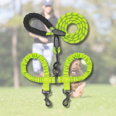 double-laisse-pour-chien-verte