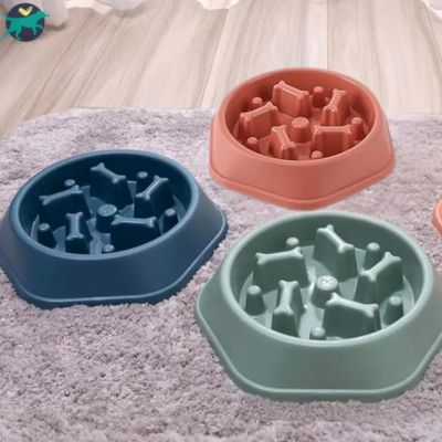 gamelle anti glouton labyrinthe