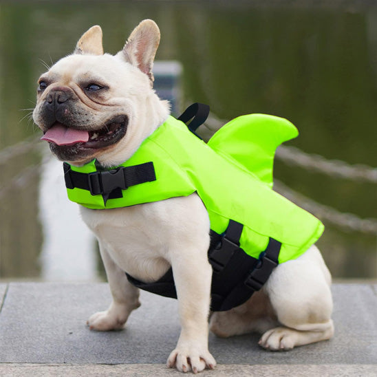 Gilet de sauvetage chien | Reef-Fin™