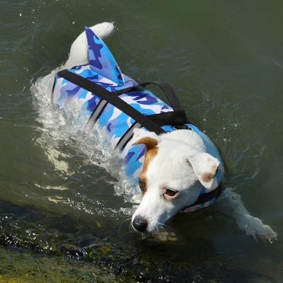 Gilet de sauvetage chien | Aqua-Fin™