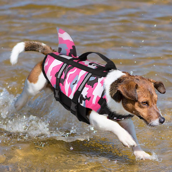 Gilet de sauvetage chien | Aqua-Fin™