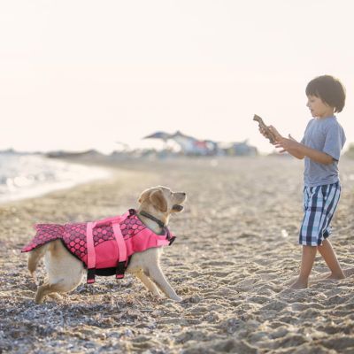 gilet-de-sauvetage-chien-sirene-rose-plage