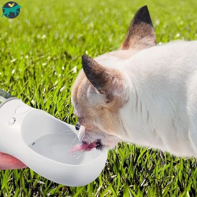 gourde-_filtrante-pour-chien-blanche