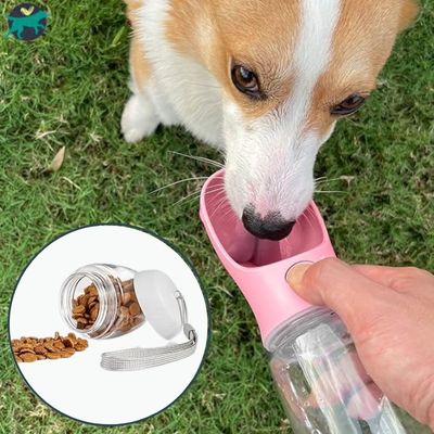 gourde-_filtrante-pour-chien-rose