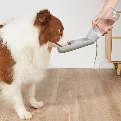 gourde-chien-pliable-grise