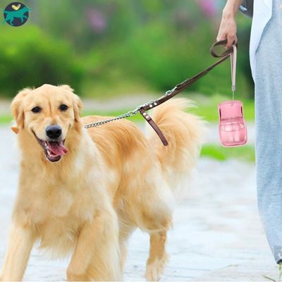 gourde-filtrante-pour-chien-vacances