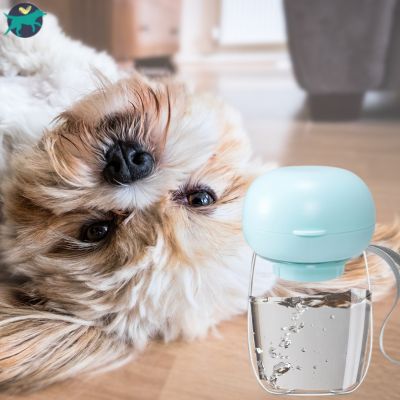 gourde-pour-chien-qualité