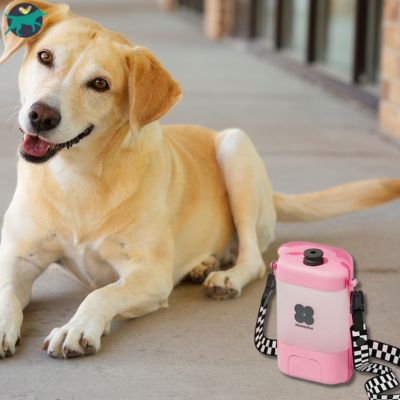 gourde-pour-chien-rose