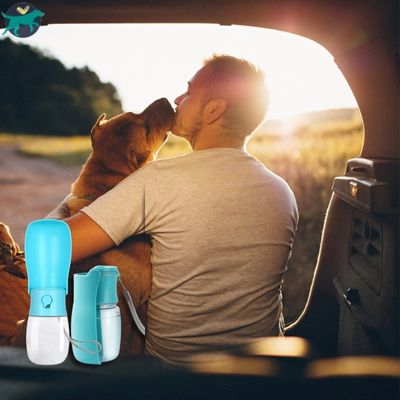 goure-filtrante-pour-chien-voiture