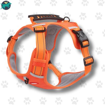 harnais-anti-traction-chien-orange