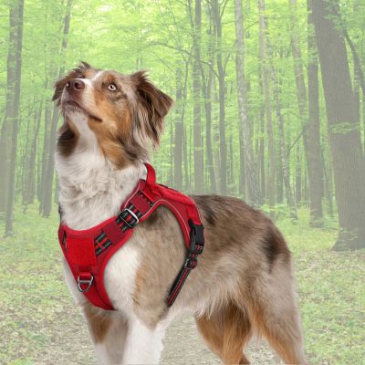 HARNAIS ANTI TRACTION CHIEN | WooFit™
