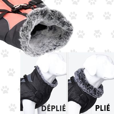harnais-chien-manteau
