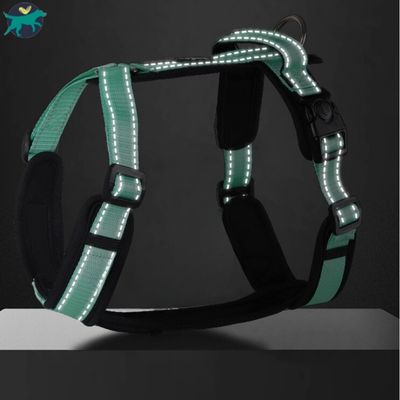 harnais-chien-nuit