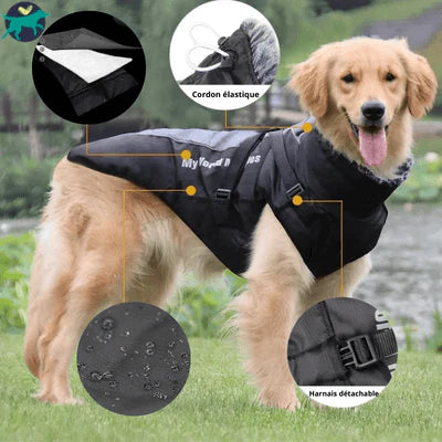 harnais-chien-robuste
