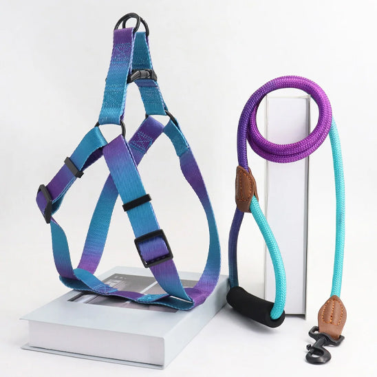 harnais-pour-chien-sangle-avec-laisse-bleu-mauve_56735bd5-b38f-43db-b863-3095807e4472