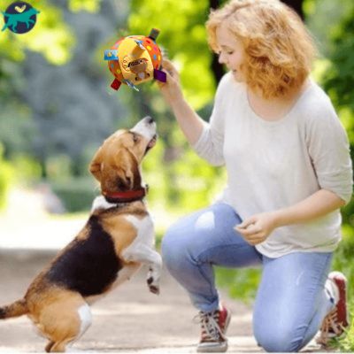 jouet-pour-chien-balle_1dadac20-dab1-48a2-b531-528811f78c7a