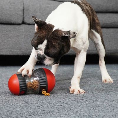 jouet-pour-chien-distributeur-de-croquettes-indestructible