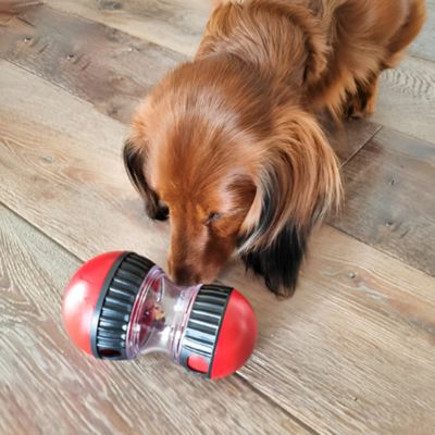 jouet-pour-chien-distributeur-de-croquettes-noir-rouge