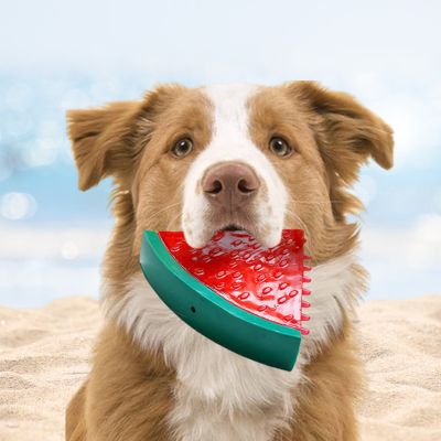 jouet-pour-chien-pastèque