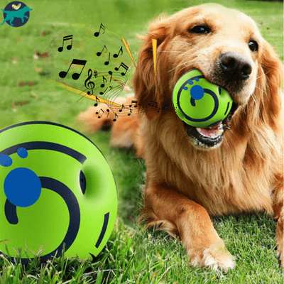 Jouet Pour Chien | Funny-Balle™
