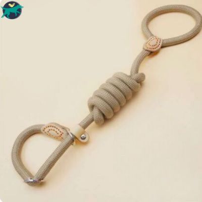 laisse-pour-chien-anit-traction