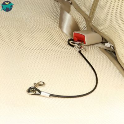 laisse pour chien ceinture securite voiture