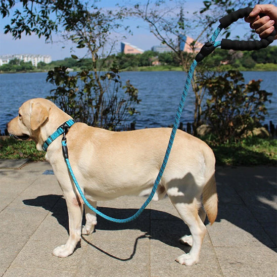laisse-pour-chien-corde-bleu