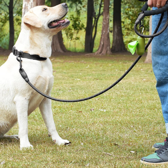 laisse-pour-chien-corde-noir-grand-chien